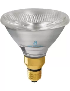 Ledvance PAR80FL Concentra PAR38EC E27 80W floo