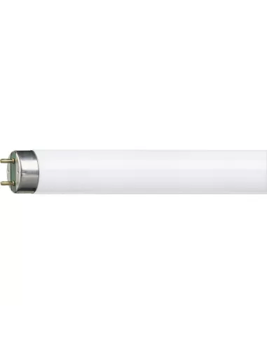 Philips TL-D Standard colors fluorescent lamp 18 W GU10 Cold white