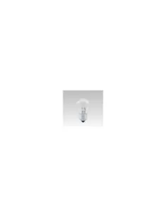 Ampoule E27 42w 220v globe petite 2600k