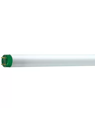 Philips MASTER TL-D Eco lampada fluorescente 32,2 W G13 Bianco freddo