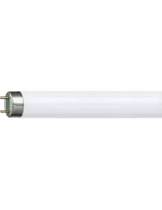 Philips MASTER TL-D HF Super 80 fluorescent lamp 32 W G13 Cold white