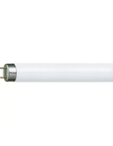 Philips MASTER TL-D HF Super 80 fluorescent lamp 32 W G13 Cold white