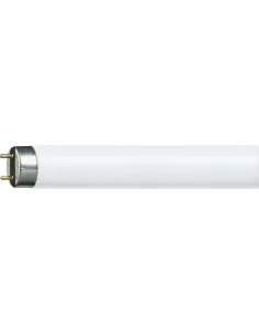 Philips MASTER TL-D Super 80 fluorescent lamp 36 W G13 Warm white