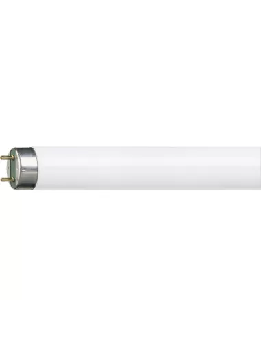 Philips MASTER TL-D Super 80 fluorescent lamp 58.5 W G13 Neutral white