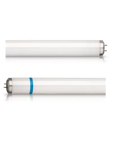 Philips Actinic BL TL-D TL-D 15W/10 Secura 1SL/25 fluorescent lamp G13