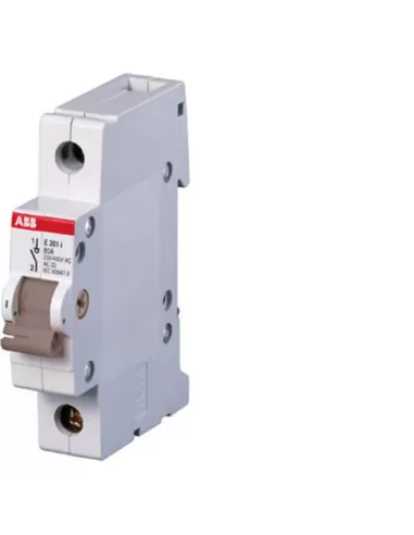 Abb e202//16g interrupteur-sectionneur 2p 16a m645799