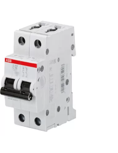 Abb s202 c20 6ka 2p interrupteur automatique