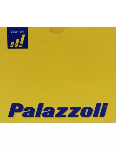 Palazzoli 272302 interruptor de leva 3x40a sch2 con 2f1