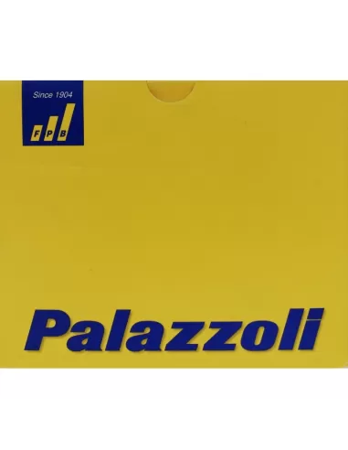 Palazzoli 213254 waterproof back panel switch 3 padlocks 64x64 25a 4 poles ip65
