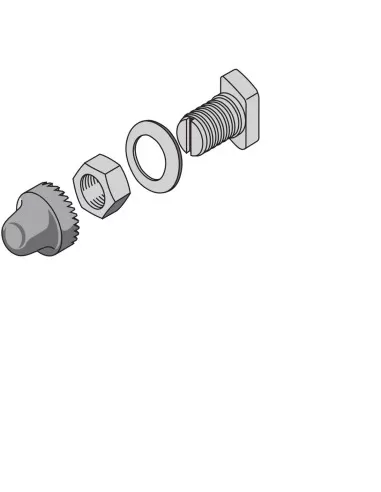 N°12 joint screws l 20 x capicoc