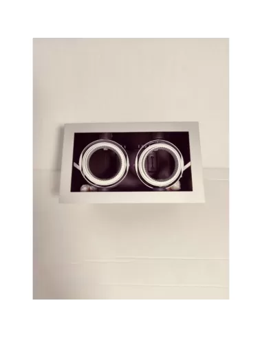 Forma 546675 lighting micro multigimbal recessed 2x50w gu5,3 silver