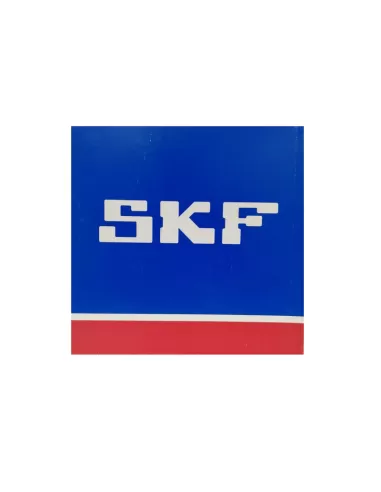 Skf 6007-2rs1//c3-s cuscinetto