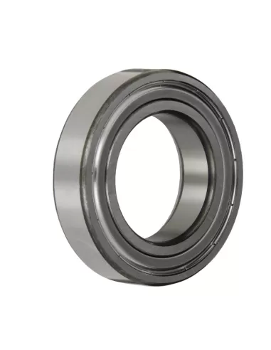 SKF 6005-2Z//C3 Radial Ball Bearing