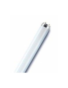 Osram Biolux 58W/72 Solare T8: 6500k,150cm Illuminazione Naturale